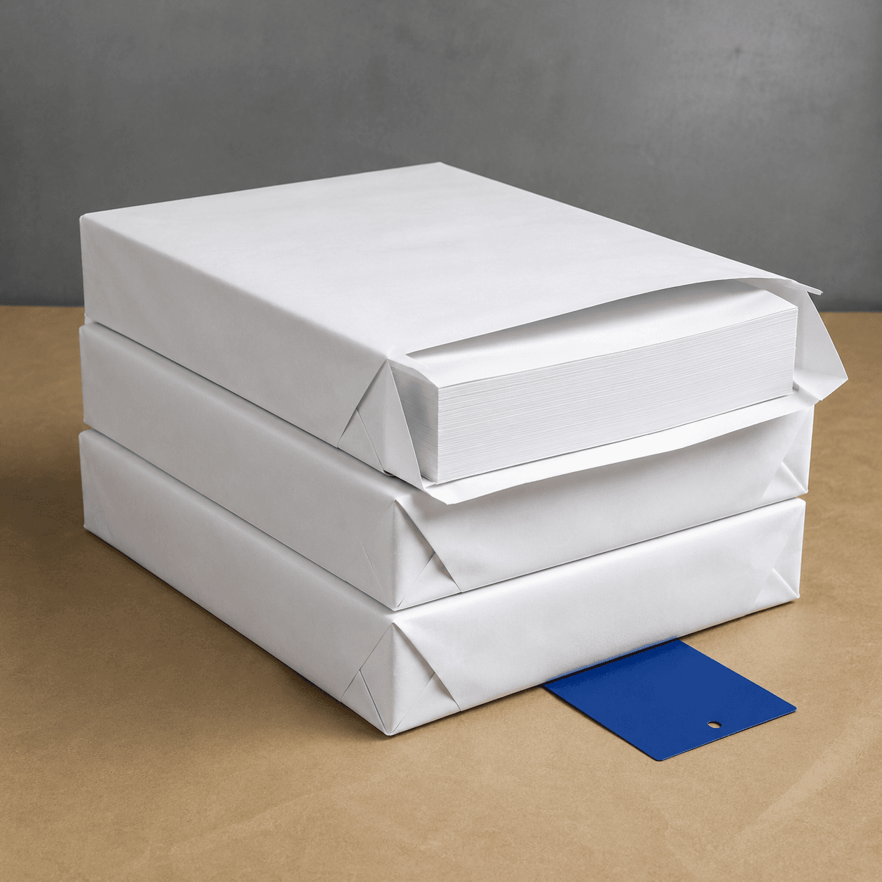 A4 Copy Paper Refill Case